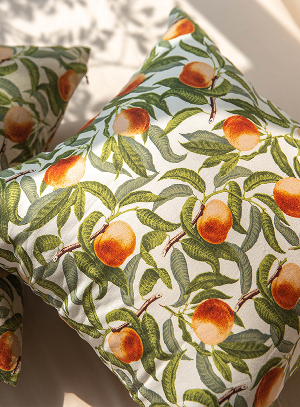 ��ǰ�̹���