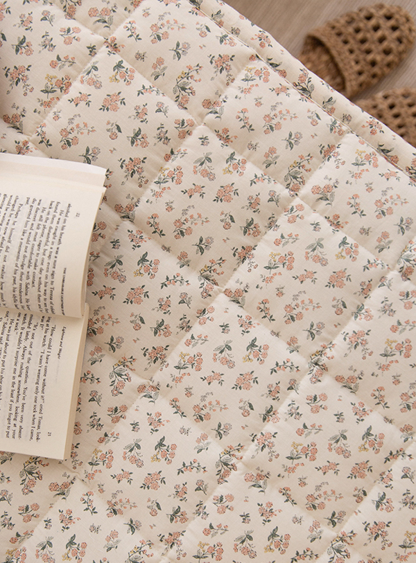 ��ǰ�̹���