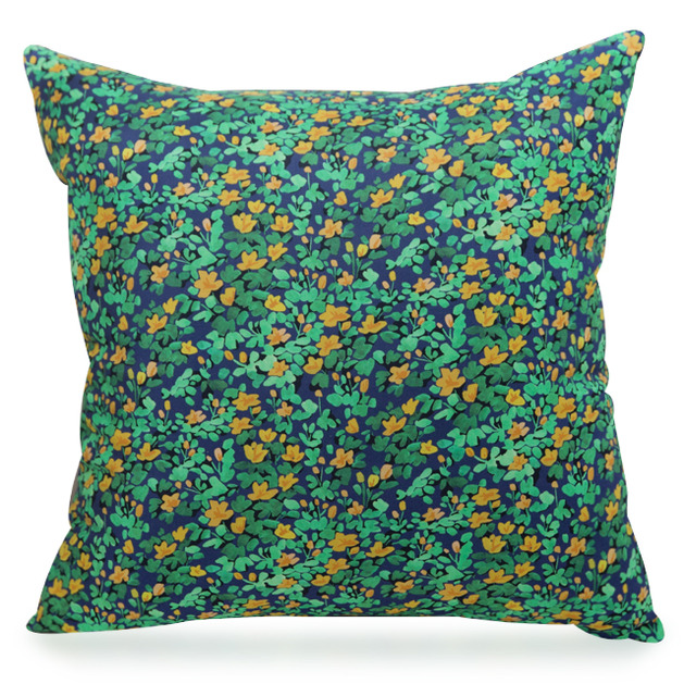 ��ǰ�̹���